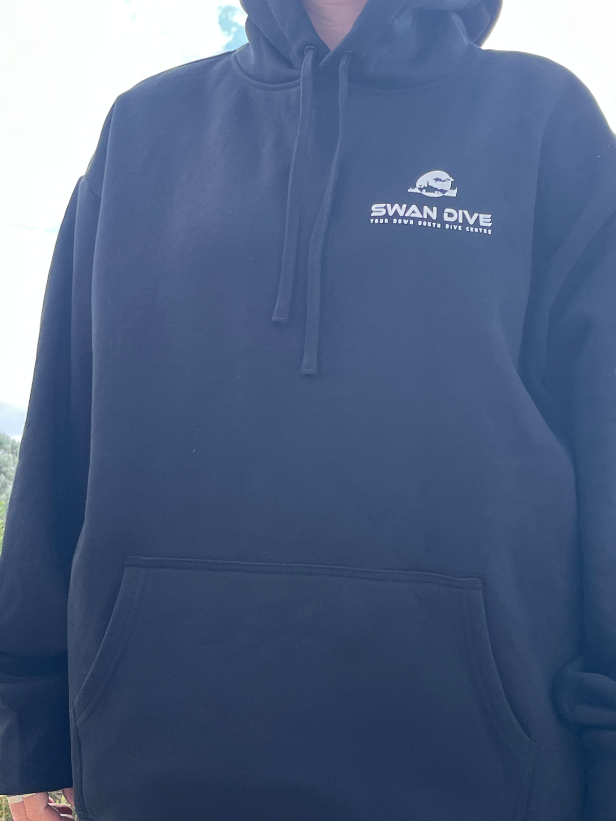 Swan Dive Thick Hoodie